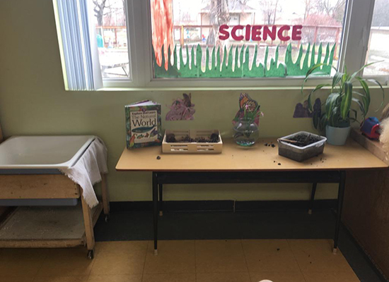 Your Wooden Treehouse